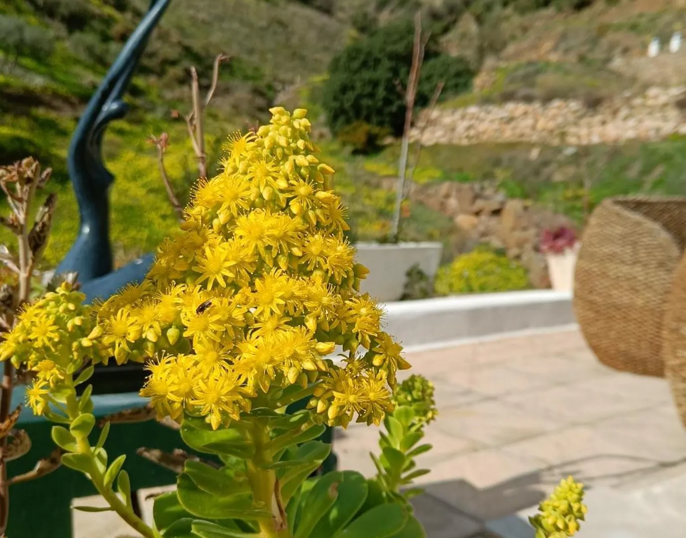 Casa Del Palmas - Charming Private Villa With 2 Bedrooms Moclinejo 0*,